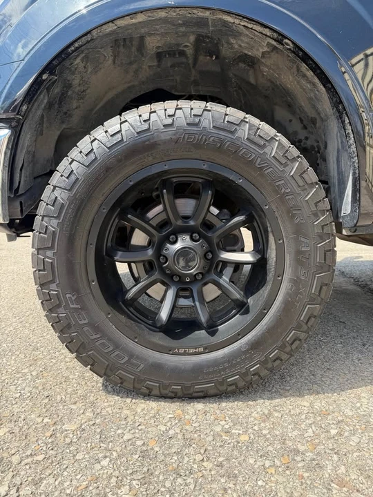 Shelby - Image 6 of 10