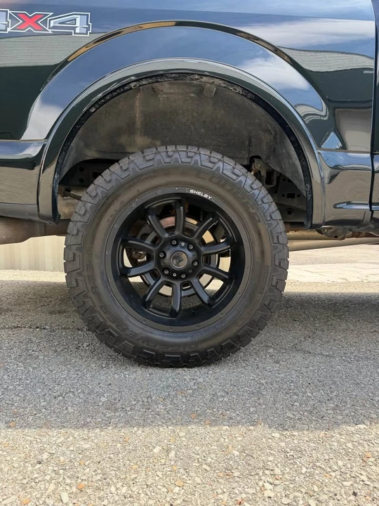 Shelby - Image 2 of 10