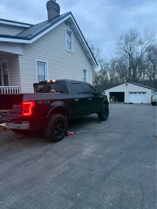 Shelby - Image 8 of 10