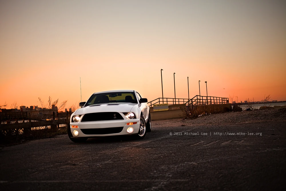 2008 Shelby GT500 - Image 5 of 6