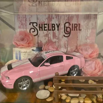 Shelby Collectable Car