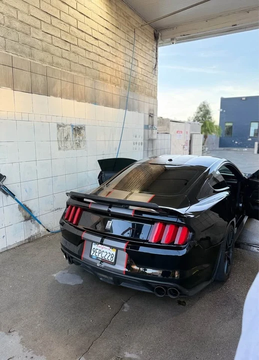 Shelby GT350 - Image 5 of 6