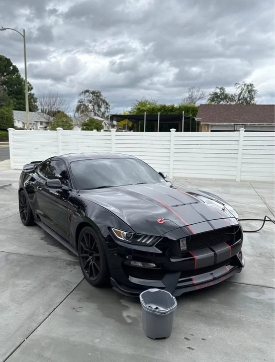 Shelby GT350 - Image 3 of 6
