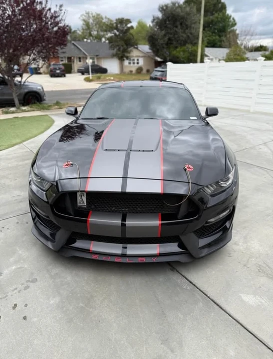 Shelby GT350 - Image 2 of 6