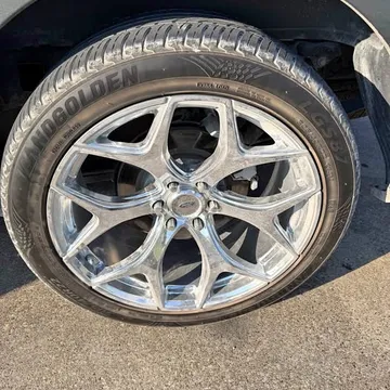 Shelby Replicas