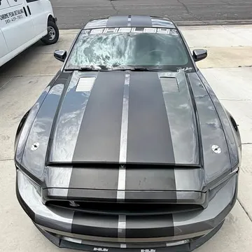 Shelby Super Snake Hood