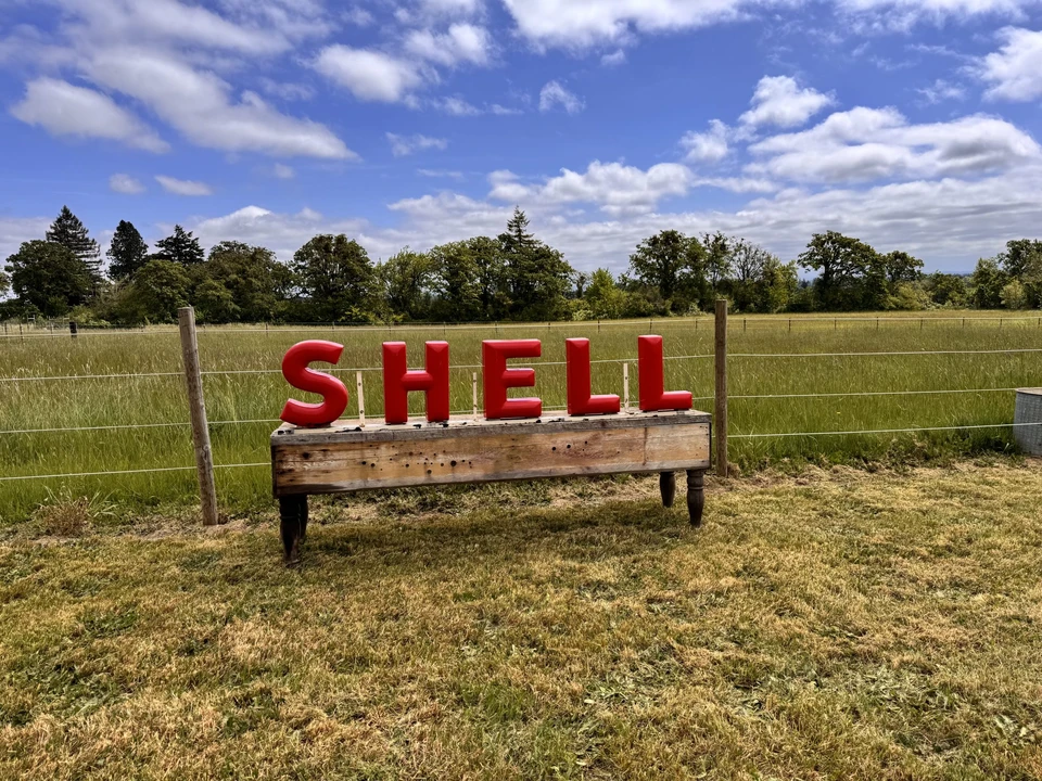 Parts & Memorabilia Signs - Image 5 of 31