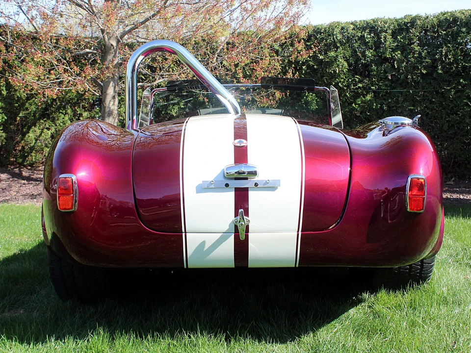 Shelby Cobra Replica - Image 19 of 31