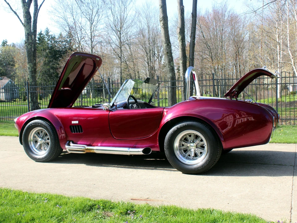 Shelby Cobra Replica - Image 14 of 31