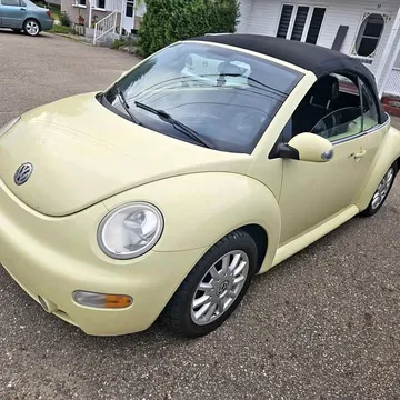 2004 Volkswagen Beetle