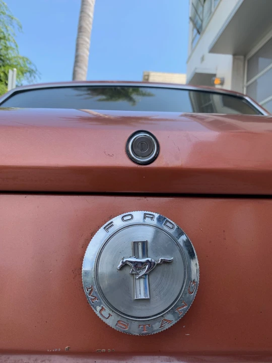 1966 Ford Mustang 1st Gen (1964.5-1966) - Image 19 of 31