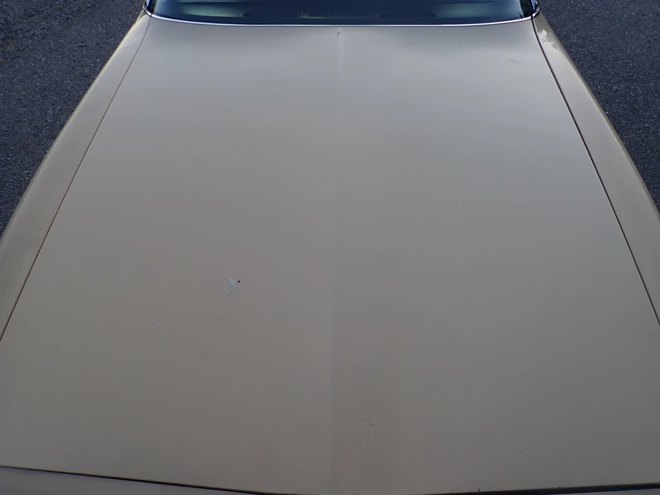 1977 Pontiac Firebird 2nd Gen - Image 30 of 31