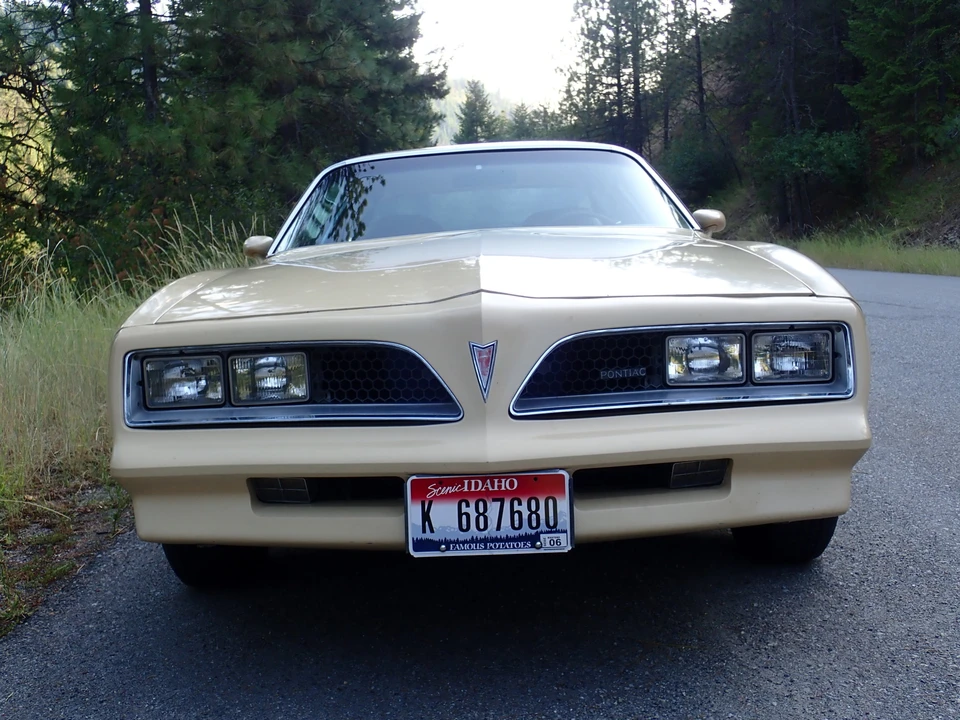 1977 Pontiac Firebird 2nd Gen - Image 21 of 31