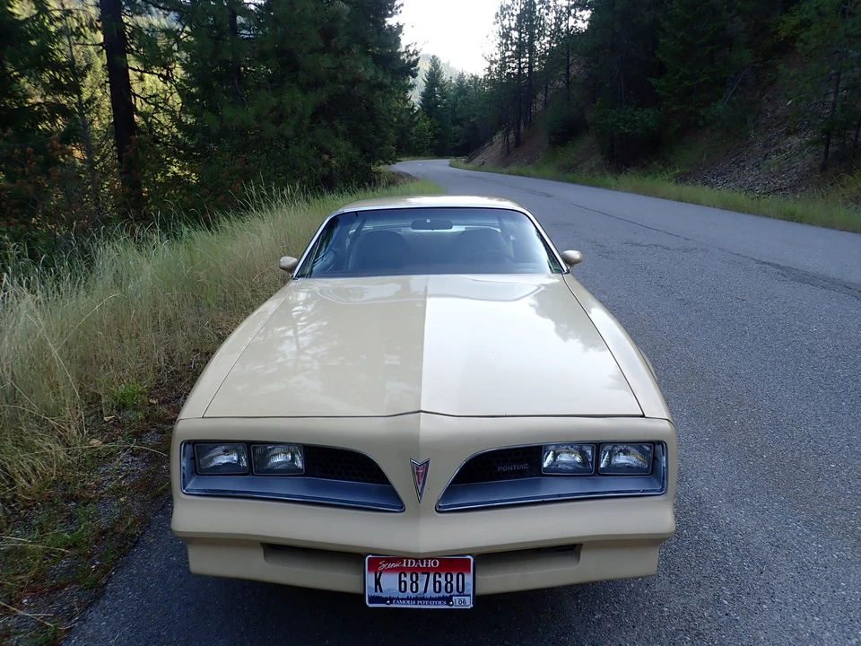 1977 Pontiac Firebird 2nd Gen - Image 20 of 31