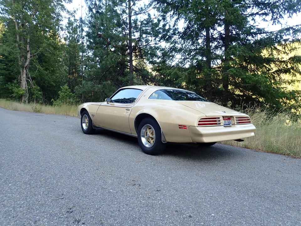 1977 Pontiac Firebird 2nd Gen - Image 11 of 31