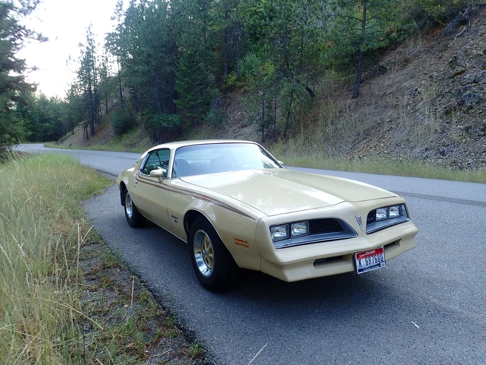 1977 Pontiac Firebird 2nd Gen - Image 17 of 31