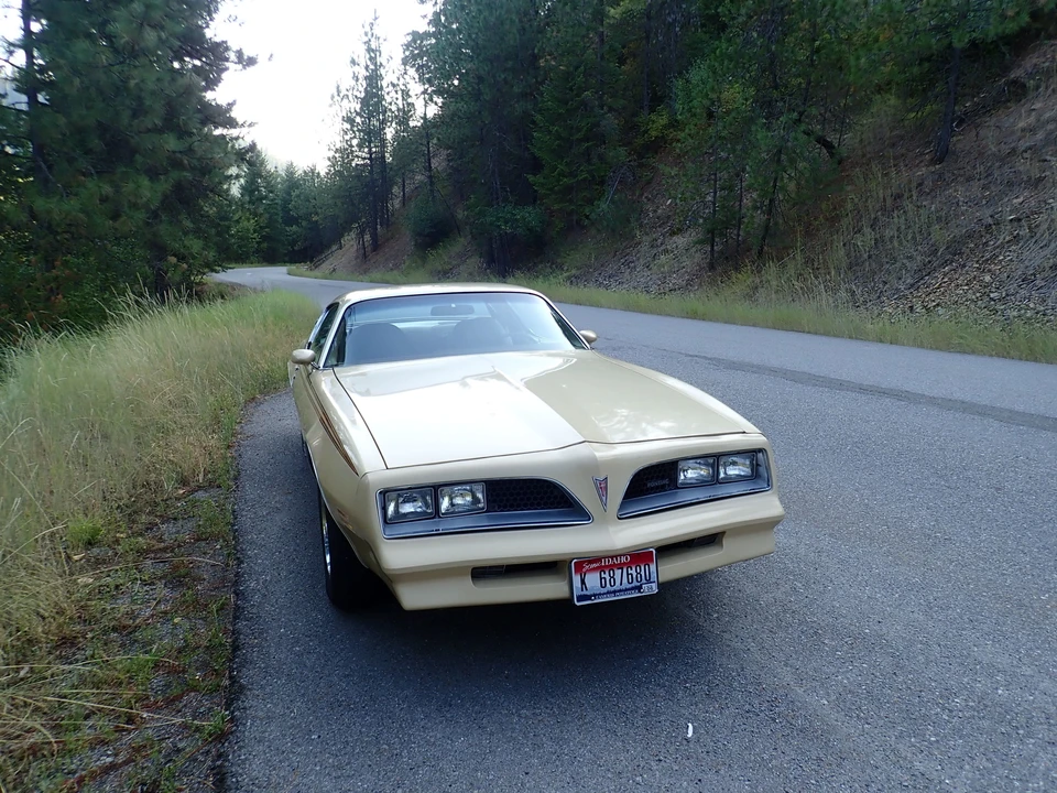 1977 Pontiac Firebird 2nd Gen - Image 19 of 31