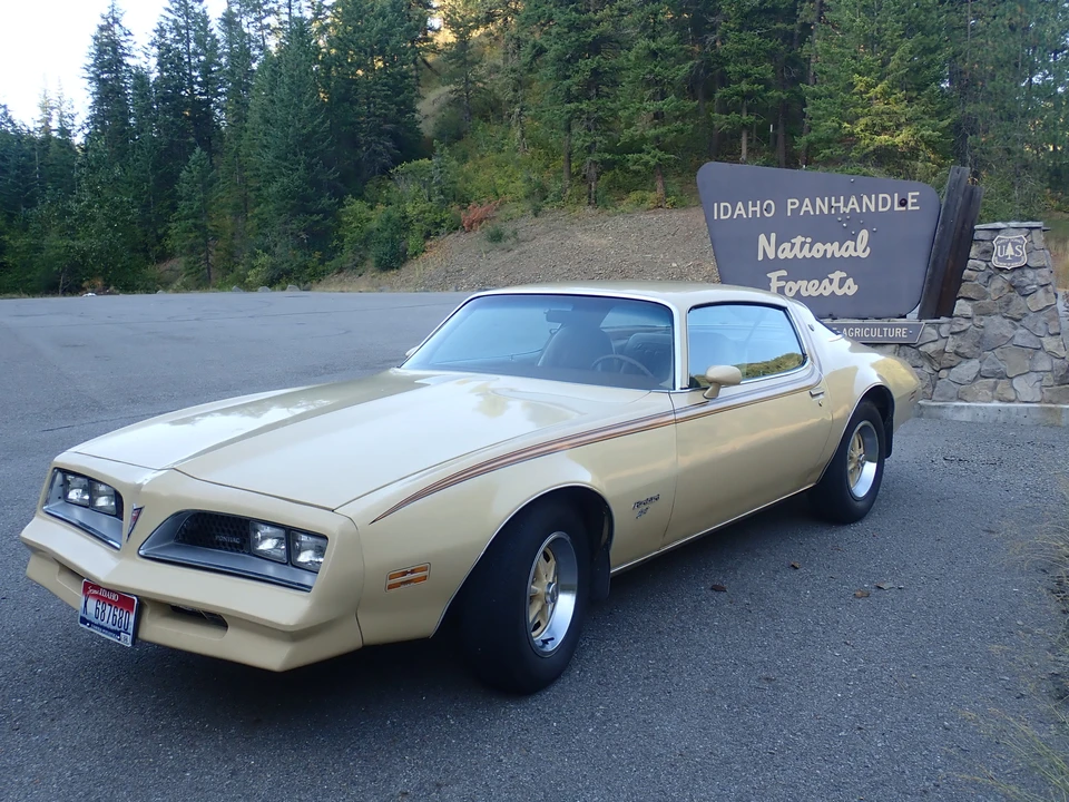 1977 Pontiac Firebird 2nd Gen - Image 6 of 31
