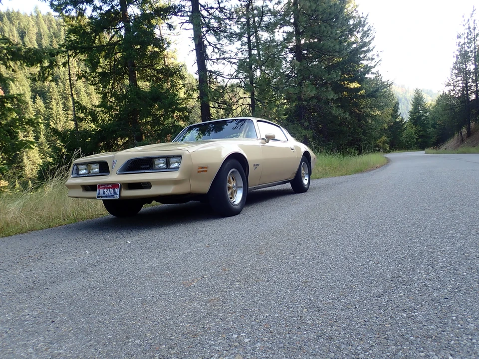 1977 Pontiac Firebird 2nd Gen - Image 5 of 31