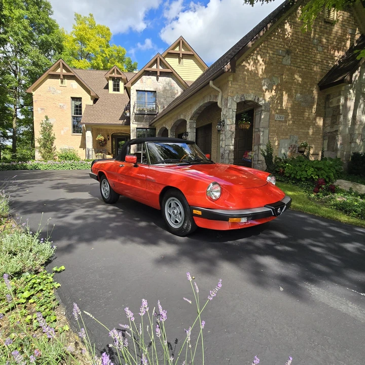 1984 Alfa Romeo Series 3 - Image 30 of 31