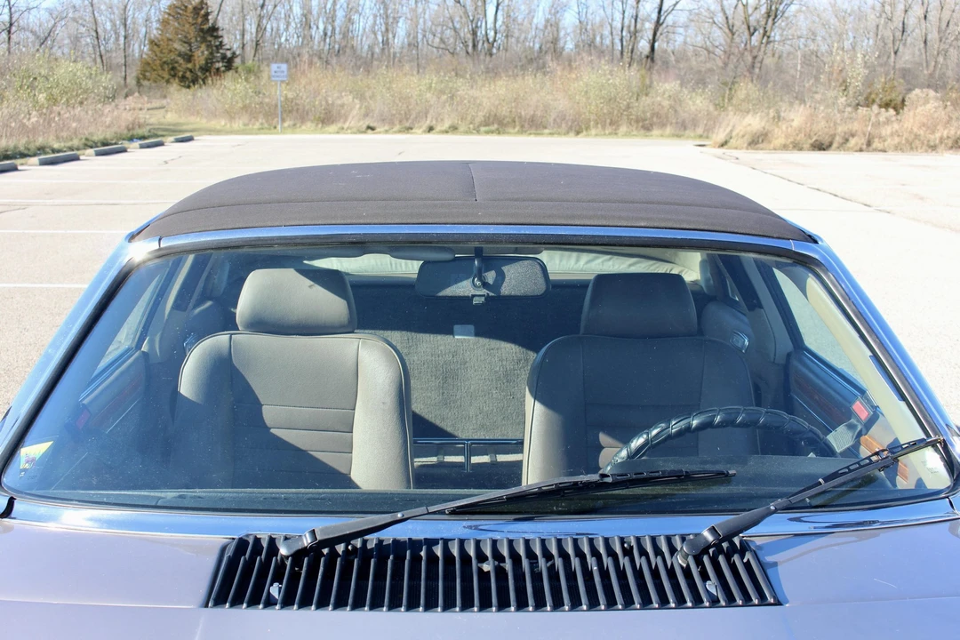 1988 Jaguar XJS Convertible - Image 19 of 31