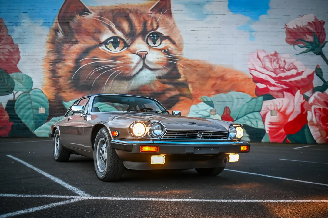 1988 Jaguar XJS Convertible - Image 16 of 31