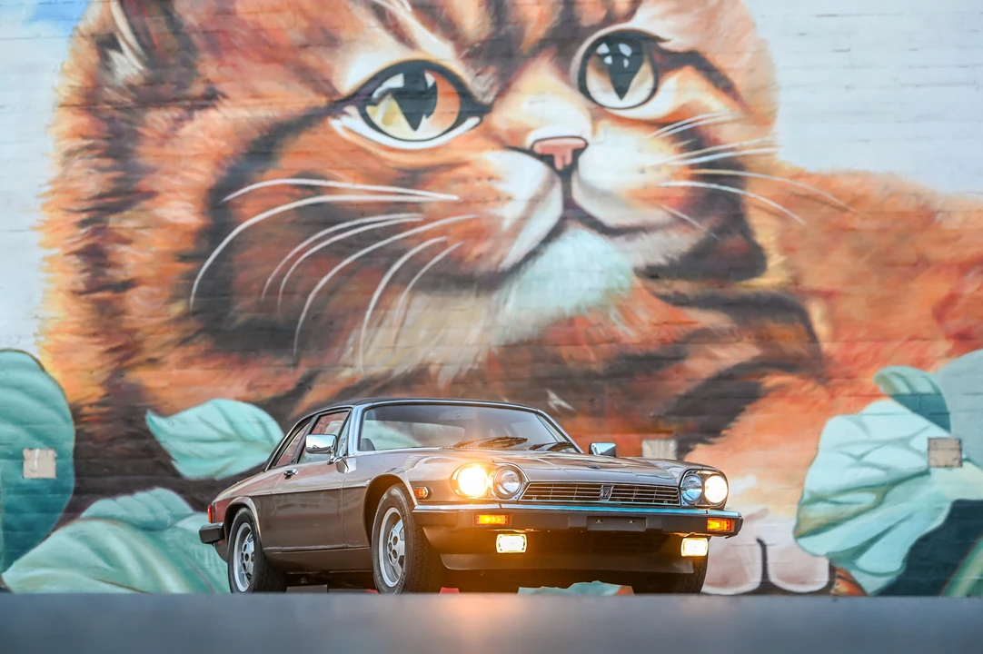 1988 Jaguar XJS Convertible - Image 17 of 31