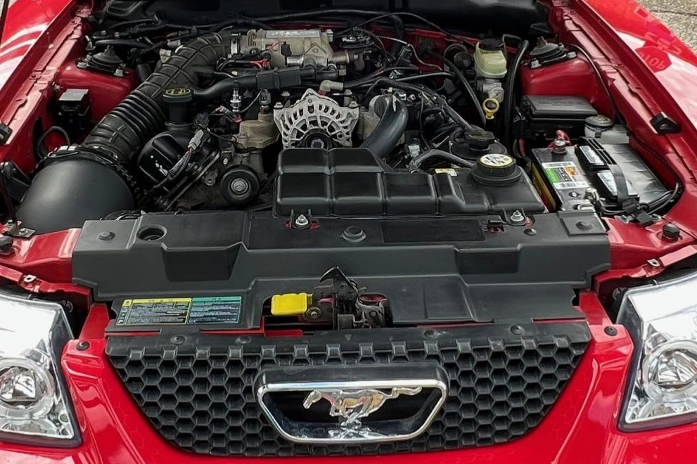 2003 Ford SN95 Mustang - Image 6 of 8