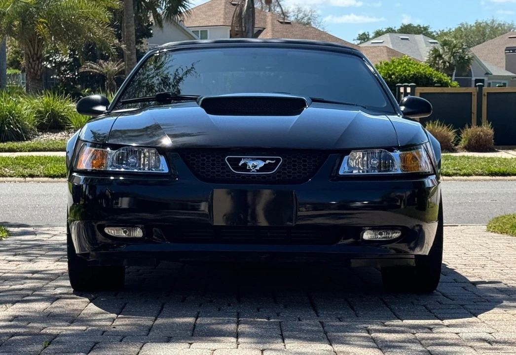 2004 Ford SN95 Mustang - Image 6 of 31