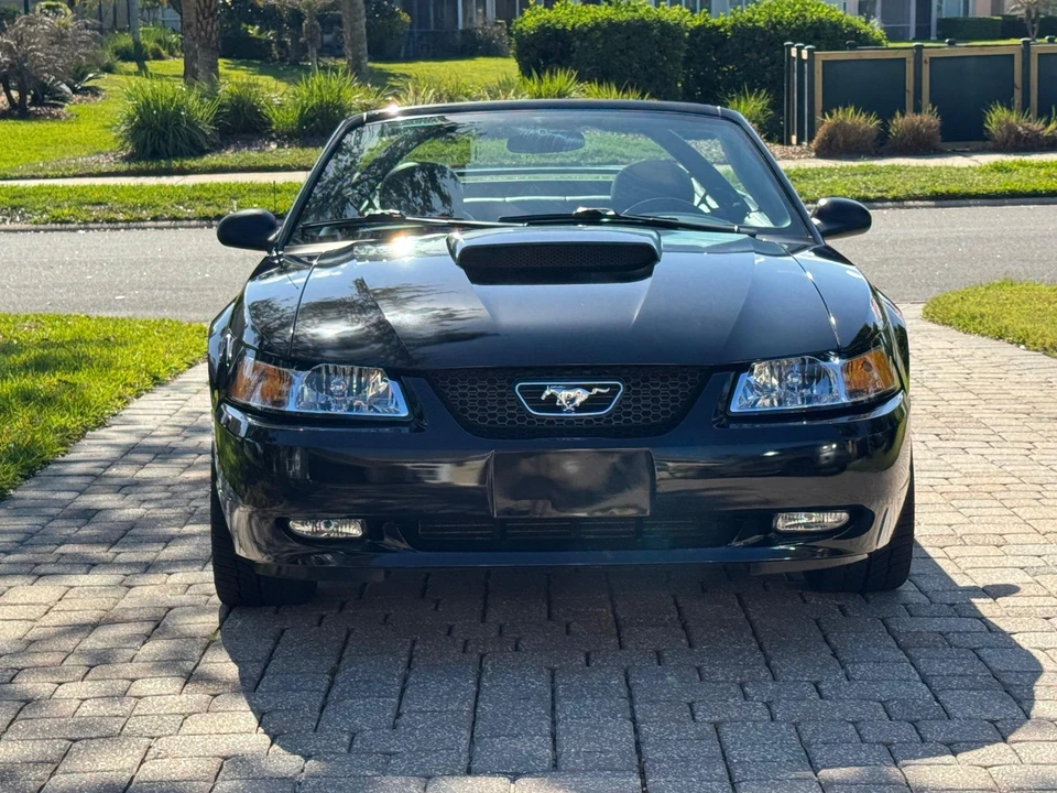 2004 Ford SN95 Mustang - Image 26 of 31