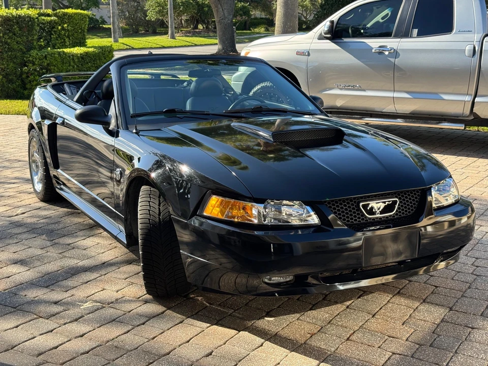 2004 Ford SN95 Mustang - Image 30 of 31
