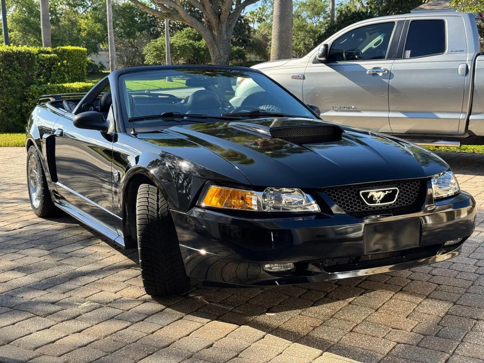 2004 Ford SN95 Mustang - Image 31 of 31