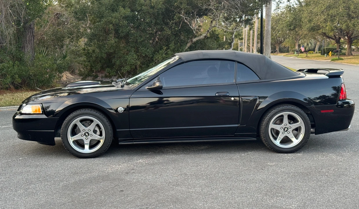 2004 Ford SN95 Mustang - Image 22 of 31