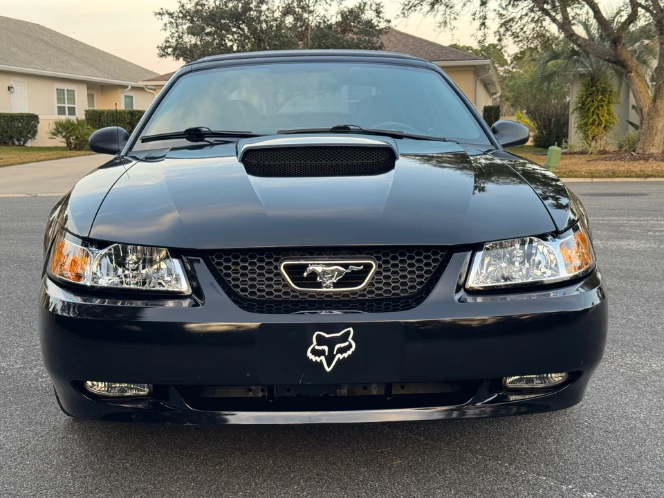 2004 Ford SN95 Mustang - Image 5 of 31