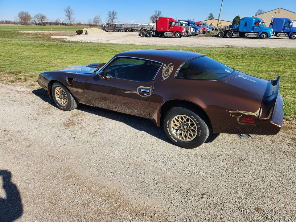 1979 Pontiac Firebird Trans Am 2nd Gen - Image 7 of 31