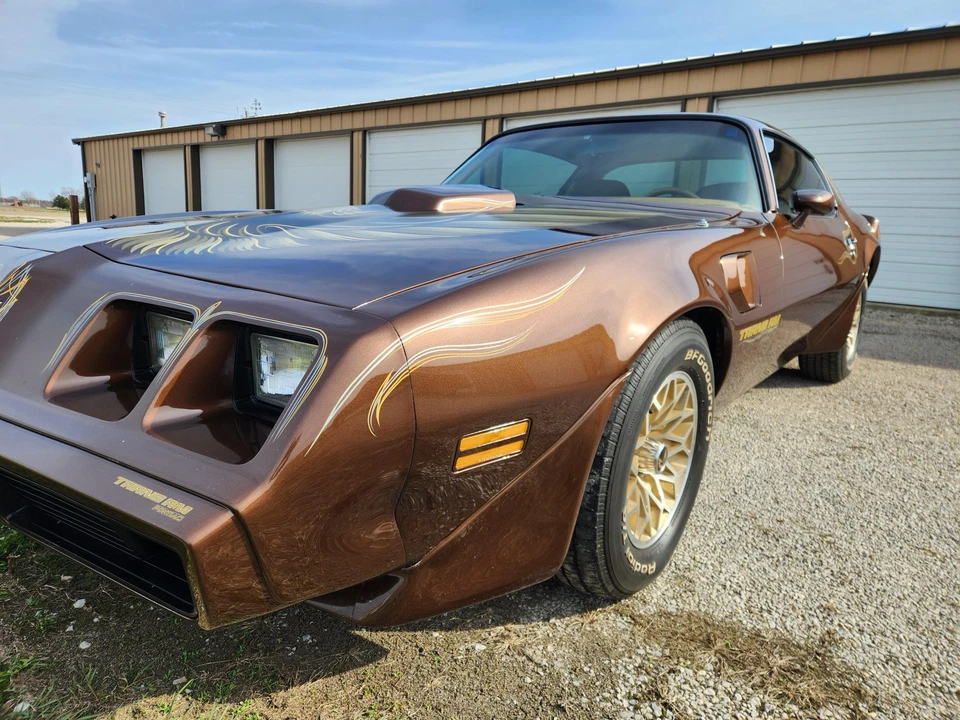 1979 Pontiac Firebird Trans Am 2nd Gen - Image 13 of 31