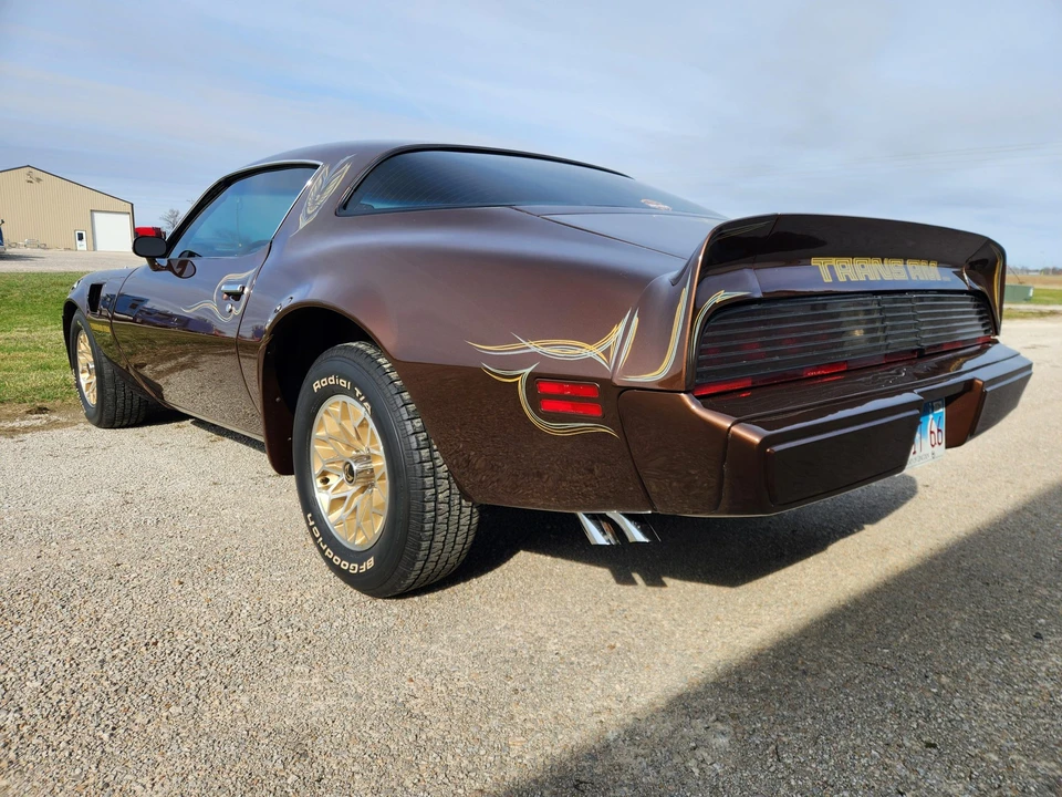 1979 Pontiac Firebird Trans Am 2nd Gen - Image 15 of 31