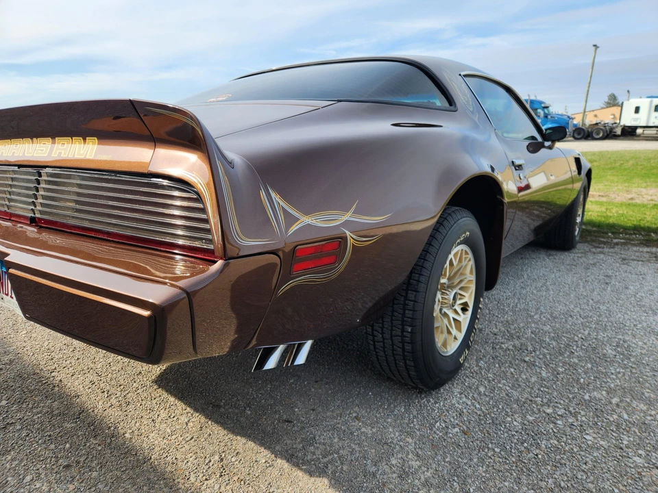 1979 Pontiac Firebird Trans Am 2nd Gen - Image 18 of 31