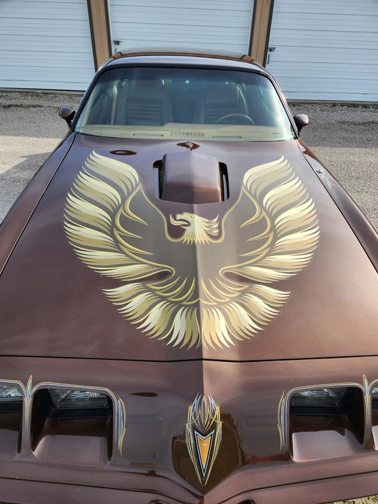 1979 Pontiac Firebird Trans Am 2nd Gen - Image 27 of 31
