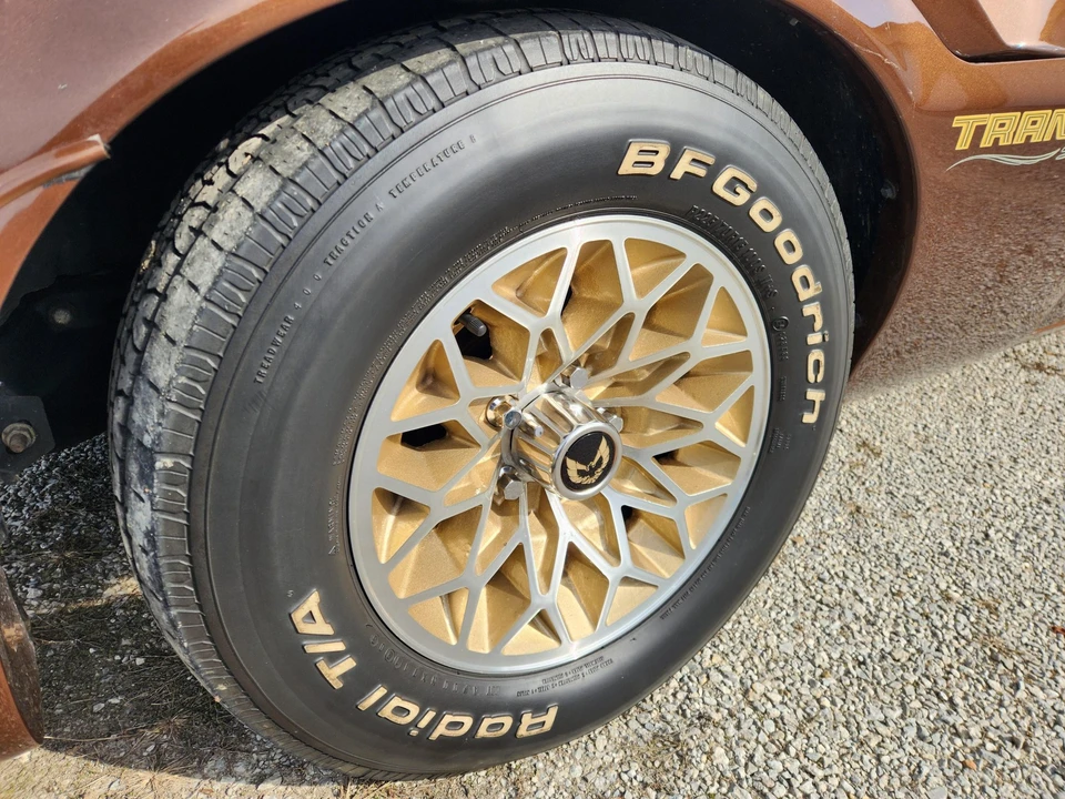 1979 Pontiac Firebird Trans Am 2nd Gen - Image 31 of 31