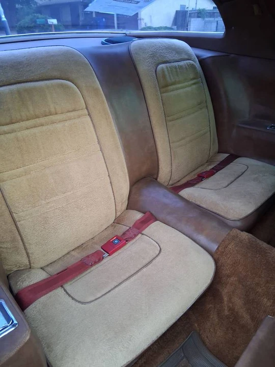 1975 Pontiac Firebird - Image 19 of 24