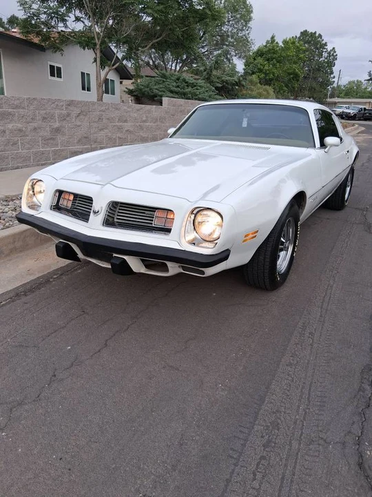 1975 Pontiac Firebird - Image 2 of 24