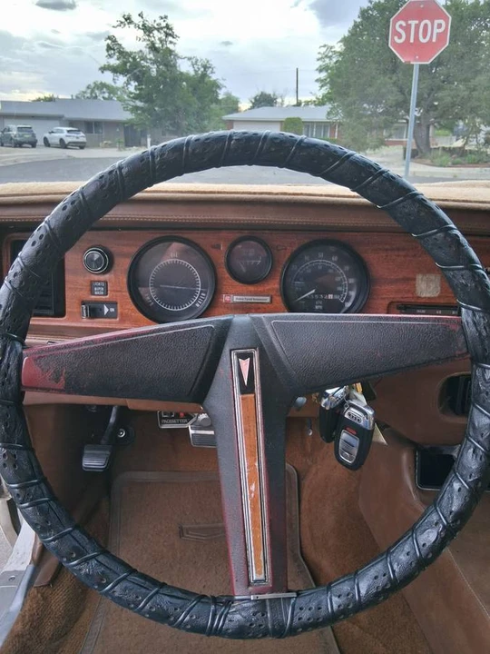 1975 Pontiac Firebird - Image 13 of 24