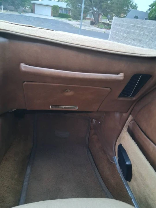 1975 Pontiac Firebird - Image 15 of 24