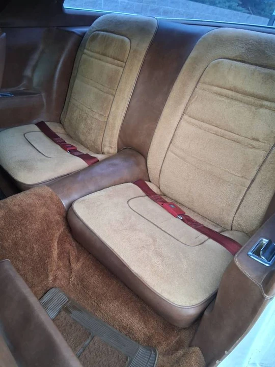 1975 Pontiac Firebird - Image 11 of 24