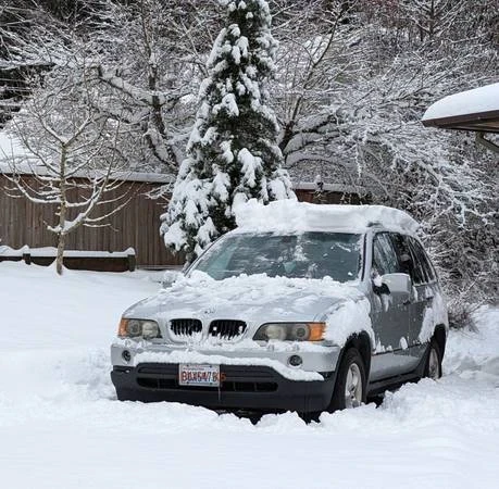 BMW E53 X5 - Image 4 of 15