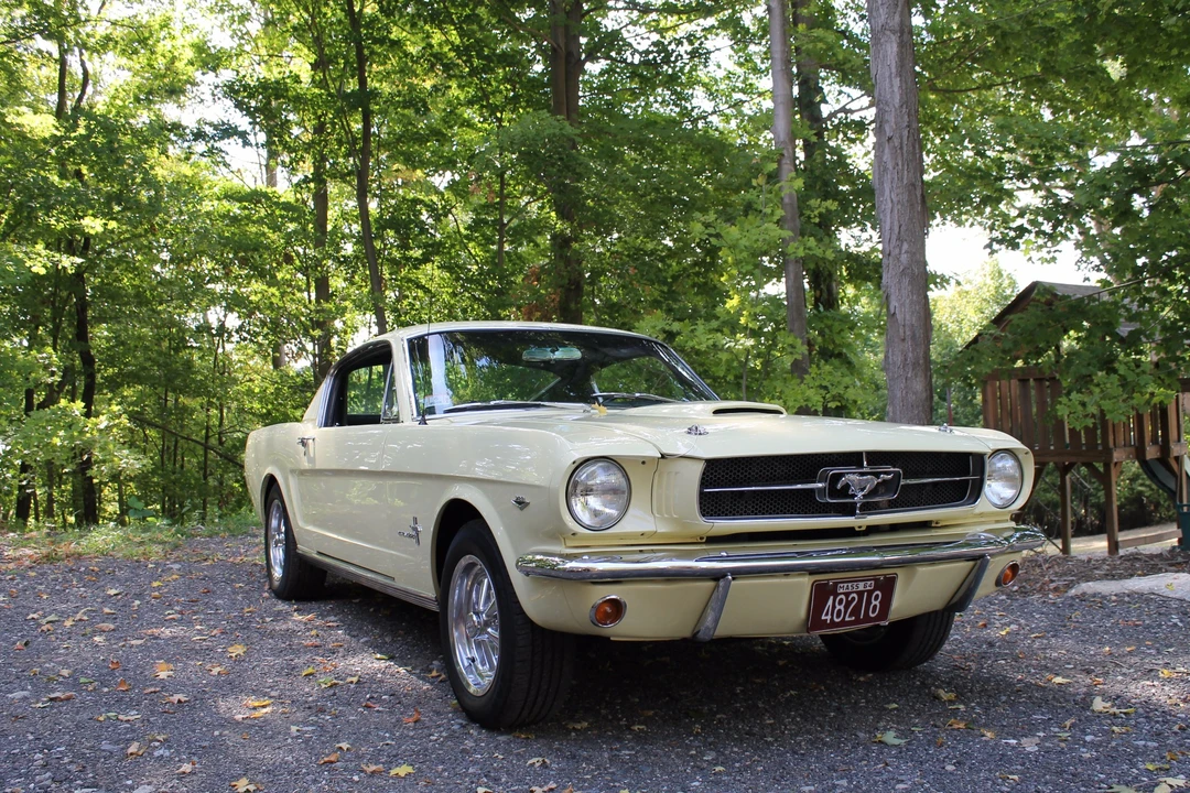 1965 Ford Mustang 1st Gen (1964.5-1966) - Image 19 of 31