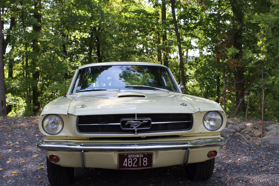 1965 Ford Mustang 1st Gen (1964.5-1966) - Image 20 of 31