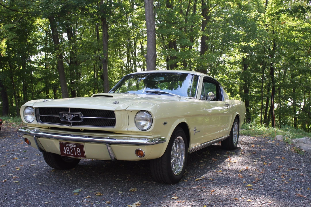 1965 Ford Mustang 1st Gen (1964.5-1966) - Image 2 of 31