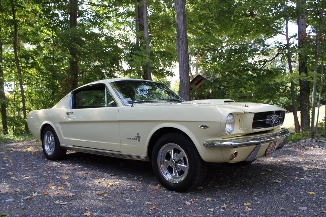1965 Ford Mustang 1st Gen (1964.5-1966) - Image 4 of 31